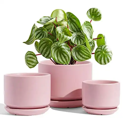 Pretty Pink Ceramic Plant Pots Set of 3