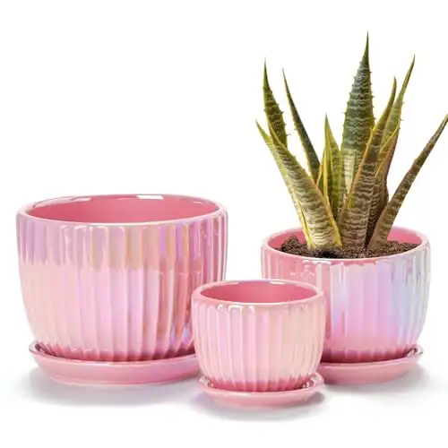 Modern Indoor PInk Decorative Plant Pots Set of 3